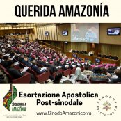 АПОСТОЛИЧЕСКО СЛЕДСИНОДАЛНО НАСЪРЧЕНИЕ ЗА АМАЗОНИЯ „QUERIDA AMAZONÌA“ НА ПАПА ФРАНЦИСК: БЕЗ ВЪЗМОЖНОСТ ЗА БРАЧНИ СВЕЩЕНИЦИ И ЖЕНИ ДЯКОНИ.